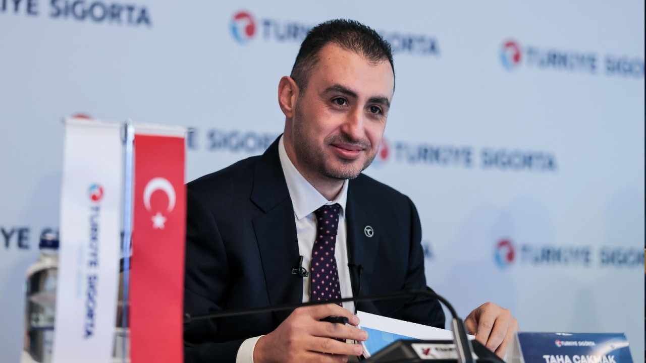 Turkiye sigorta ve turkiye hayat emeklilikten yilin ilk yarisinda rekor k rlilik ALiWmahz